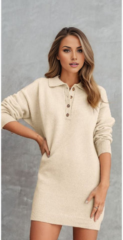 Polo Collar Knitted Mini Sweater Shift Dress