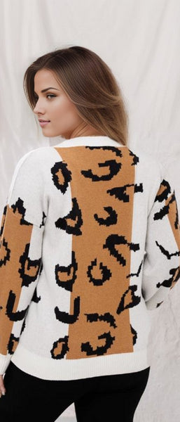 Colorblock Drop Shoulder Plus Size Sweater