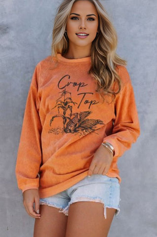 Crop Top Corn Graphic Corded Sweatshirt