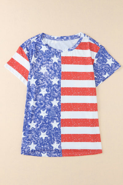 American Flag Print Distressed Crew Neck T Shirt