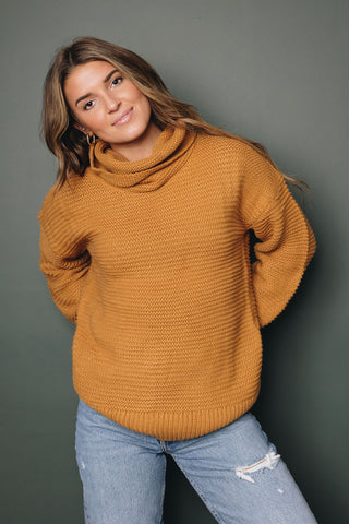 Ezra Turtleneck Sweater