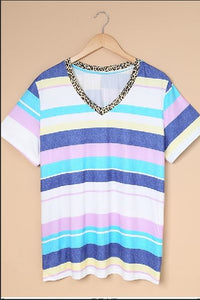 Multicolor Stripes Plus Size T-shirt