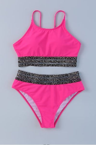 Leopard Mesh Trim 2pcs Bikini Swimsuit